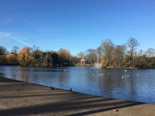 Victoria Park 1 bedroom flat - London - 1