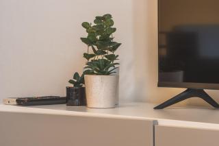 [Piazza Goldoni] Suite Mazzini *Free WiFi* - 2