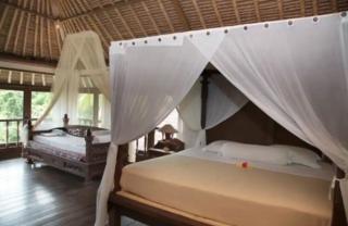 Abalone Sport Resort - Manggis - 5