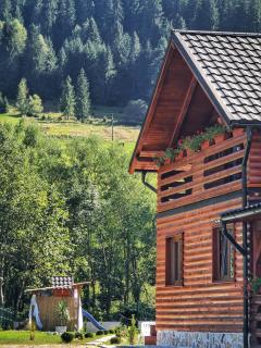 Cabana Dintre Munti - Vidra - 5
