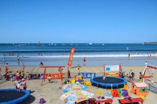 Les oliviers - Perros-Guirec - 4