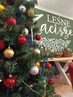 Leśne Zacisze - 4