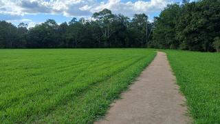 Room in Guest room - Cozy Room with Separate Entrance and Ensuit Bathroom - Atherton - 1