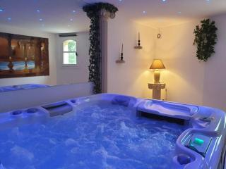 VILLA OHNA, gîte indépendant avec spa privé - Vals-les-Bains - 7