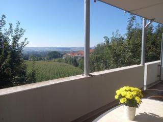 Wellness Ferienwohnung mit Bademantelgang zur Therme - Bad Griesbach - 4