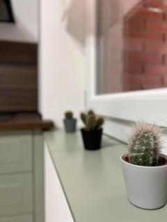 RIFREDI APARTAMENT - 6
