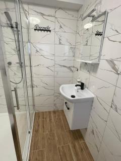 Villa Pod Orzechem w Zaniemyślu - 2