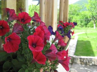 Guesthouse Mirko Hodak - 2