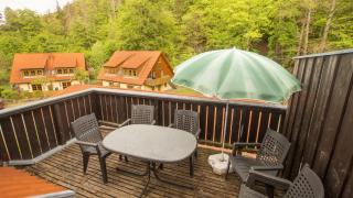 Ferienwohnung Forsthaus am Brocken, 80 qm, 3 Schlafzimmer F6 - Ilsenburg - 2
