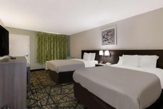 Quality Inn Orange Park Jacksonville - Jacksonville - 6