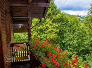Cabana din poiană - Câmpulung Moldovenesc - 8