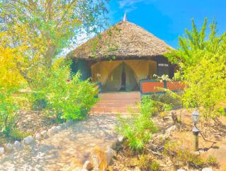 Eco Mara Tented Camp - Ololaimutiek - 7