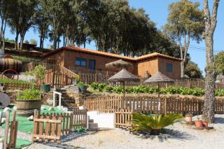 Quinta da Bandeira - Casa de Férias no Douro - Mártir - 3