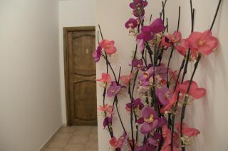 Casale del Gufo - Chiaravalle - 2