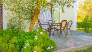Olive Τrees Garden - 9