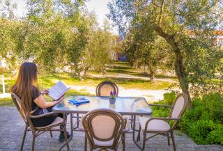 Olive Τrees Garden - Lixúri - 7