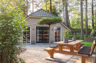 Veluwe vakantiehuis - Bosuil Lodge - 0