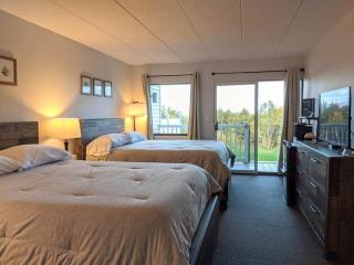 Cute Lower Level Cedar Lodge Room with Balcony & Lake Views! - Laconia - 7