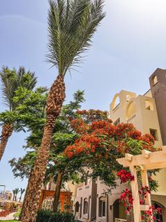 Go Egypt Apartments Inside Karma Beach Resort North Al Ahiaa , Hurghada - Hurghada - 4