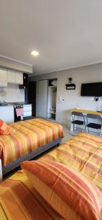 Acogedor Monoambiente con cochera - 2