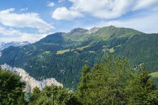 Chalet Krokus 6 - Wengen - 7