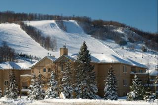 Mountainwalk - Blue Mountains - 2