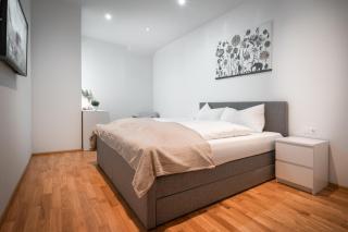 CityFlat 38 Schladming by globboard - Schladming - 2