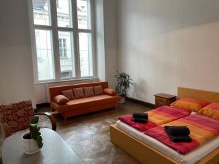 Geräumige Altbauwohnung im Zentrum - Graz - 3