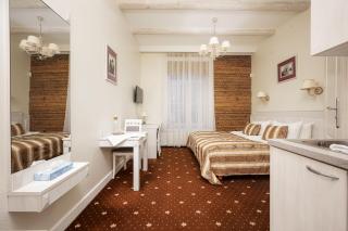 Art Hotel - Druskininkai - 4
