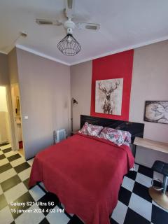 Hôtel des allées - 9