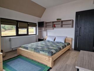 Rodopi Guest House - Tsigov Chark - 1