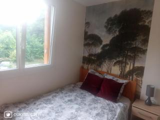 Superbe chambre confortable et lumineuse en appartement - Bry-sur-Marne - 1