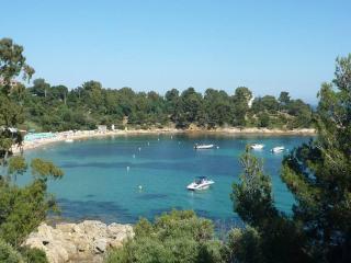 GASMED40 - Golfe de St-Tropez - Chalet californien pour 6 personnes situé dans un parc arboré à Gassin - Gassin - 7
