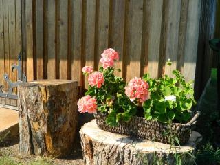 Brīvdienu māja Pie sievasmātes - 6