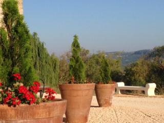 La Grande Bouisse gites avec piscine dans le Luberon, Provence - Céreste - 7
