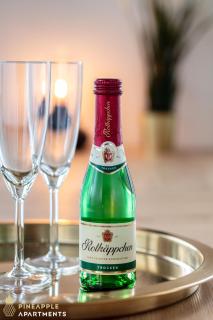 PINEAPPLE APARTMENTS - Dresden Zwinger - 55qm - Dresden - 4