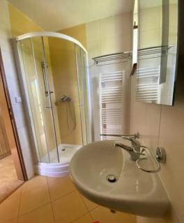 Apartmány F - chata SVOBODĚNKA - Dolní Moravice - 9