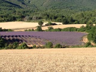 La Grande Bouisse gites avec piscine dans le Luberon, Provence - Céreste - 4