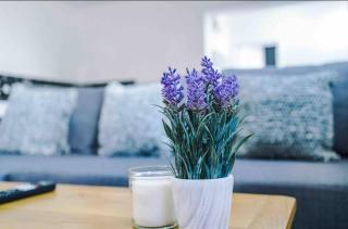 Spacious One-Bedroom Apartment in Saint Helens - 5