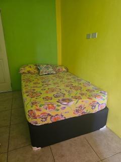 Fish Tobago Guesthouse or Joy and Brandon Guesthouse - Buccoo - 4