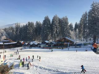 Pensiunea "Casa Frasin" - Vatra Dornei - 8