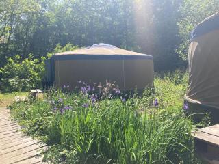 Barefoot Yurts - Brede - 2