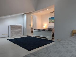 A cozy warm house with a private yard ultra center - Chişinău - 9