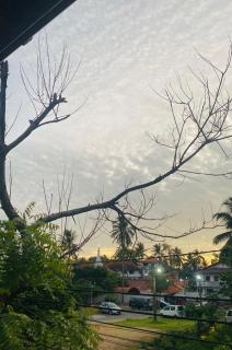 The Galle Nest - Galle - 2