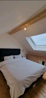 Penthouse lumineux - Bruxelles - 4