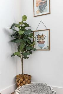 Beach Apt with Waterview in Las Olas Blvd - 1