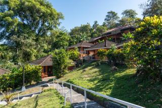 Bongo - Adults Only - Manuel Antonio - 9