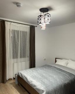 Coco Home Bușteni - 1