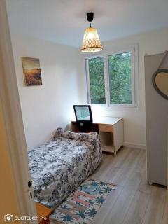 Chambre lumineuse bords de marne - Paris disneyland - Bry-sur-Marne - 2