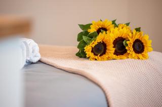 FEEL HOME - COLLET - 8